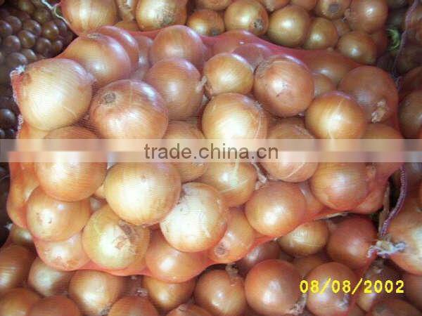 onion ( Red - Yellow - White - spring onion )