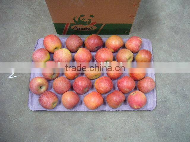 China Unbagged Fuji Apple