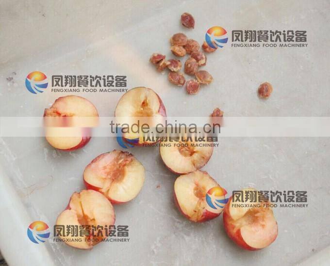 High Quality Plum Stoner, Plum Pitter, Plum Corer with CE certificated