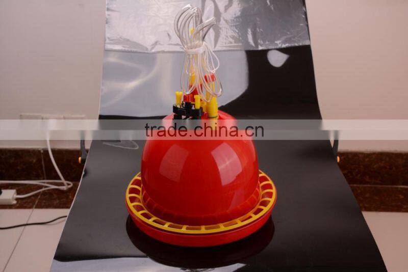 automatic poultry farming system for chickens plasson bell drinkers