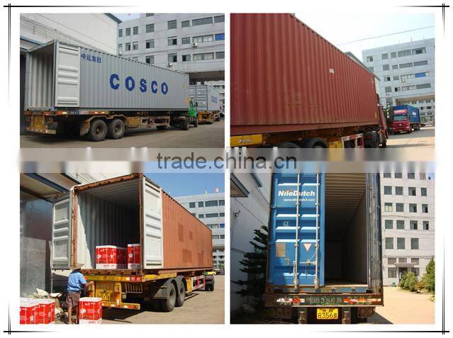 20L backpack pump sprayer, pressure sprayer, agriculture spray machine KXF-787