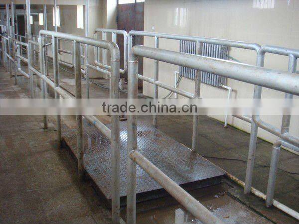 Halal Ritual slaughtering equipment equipping to cattle slaughter house