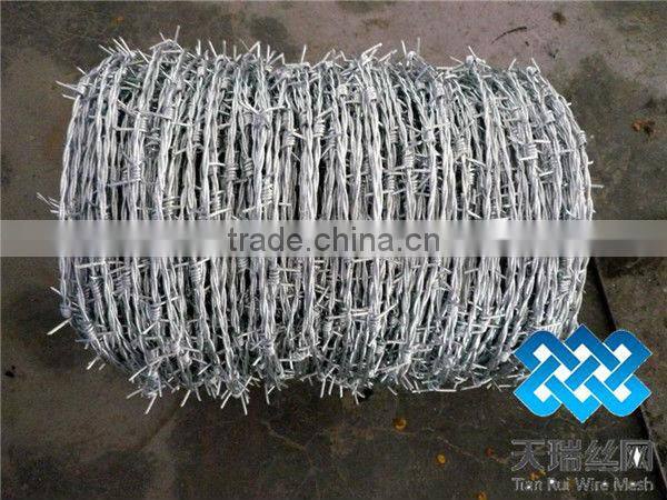 stainless steel barbed wire