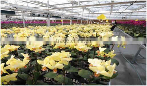 agricultural herb garden