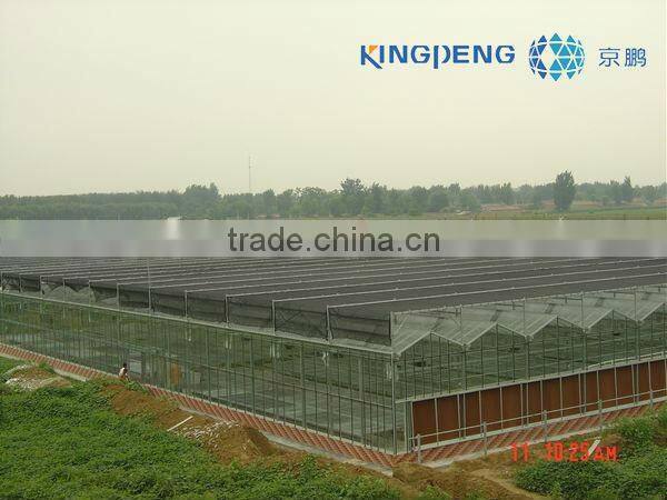 Multi Span Glass Greenhouse for Horticulture