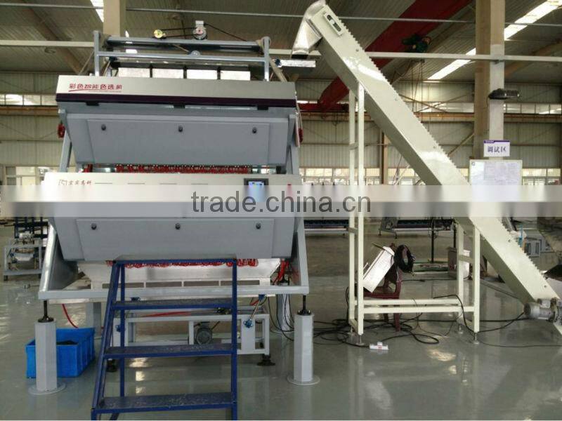 Black Tea colour sorting machine