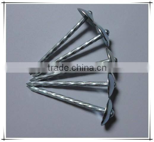 1"*11G Galvanized Umbrella Head Plain and Ring Shank Roofing Nail (factory)
