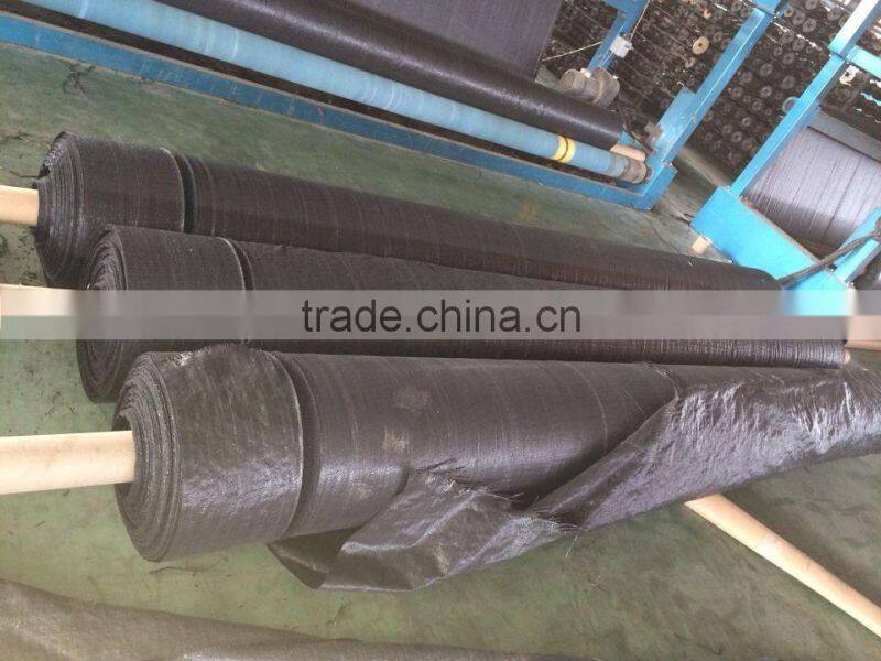 pp woven cloth rolls/plastic woven cloth for sack/ woven cloth for pp woven bag