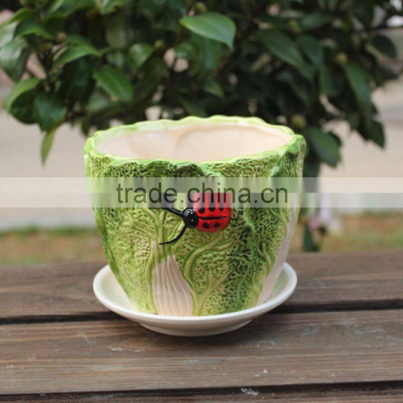 Attractive cabbage shape ceramic small decorative planters