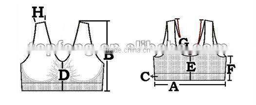 bra -tastic/seamless bra/magic bra/smart bra