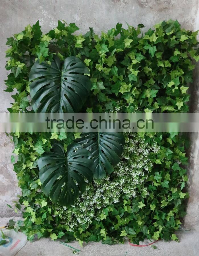 Export outdoor wall plants decoration