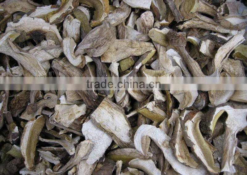 High quality boletus magic dried mushroom slices from yunnan