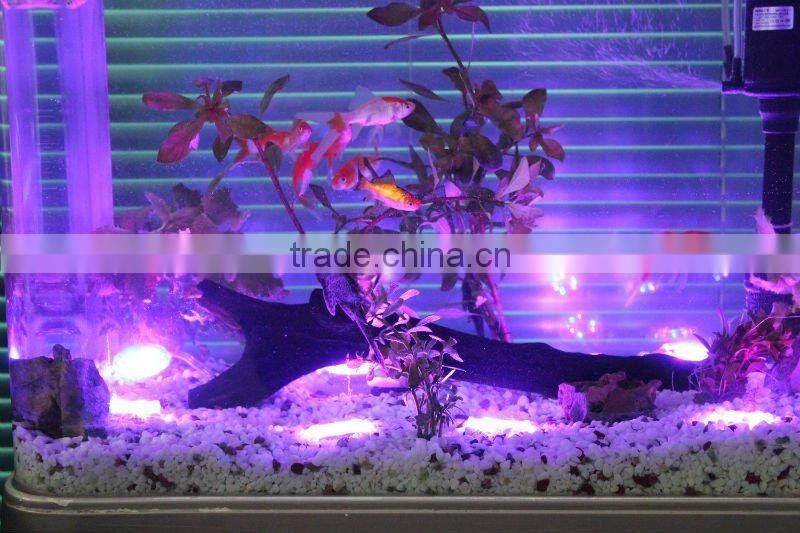 IP68 waterproof high quality colorful LED aquarium landscape lighting