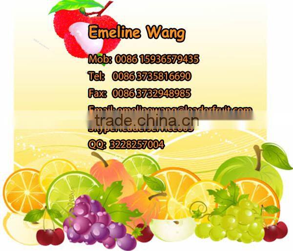 Leader high quality various fruit beating machine offering its services to overseas