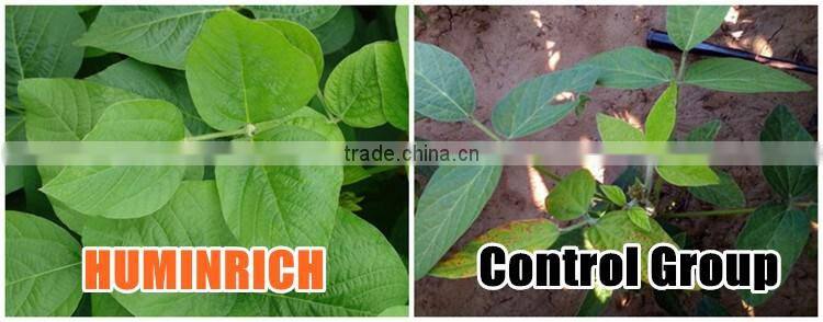 Huminrich Economic Special Fertilizer Chelation Supplements