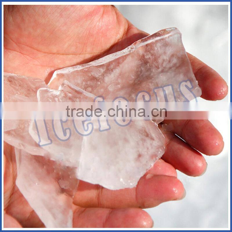 Dry ice plant professional ice maker evaporator industrial plate ice making machines for sale