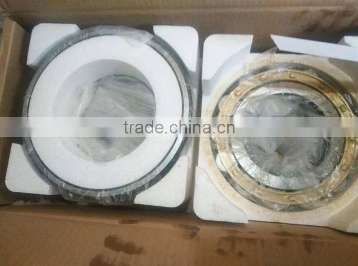 NSK Double Row NN3020K roller bearing NN3020 Cylindrical Roller Bearings