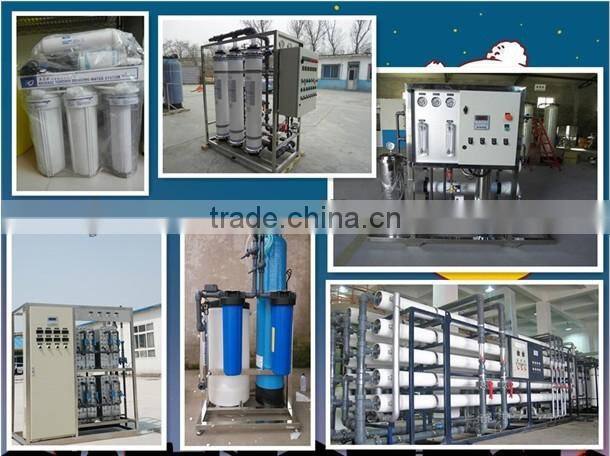 SEKO Chemical Dosing pump