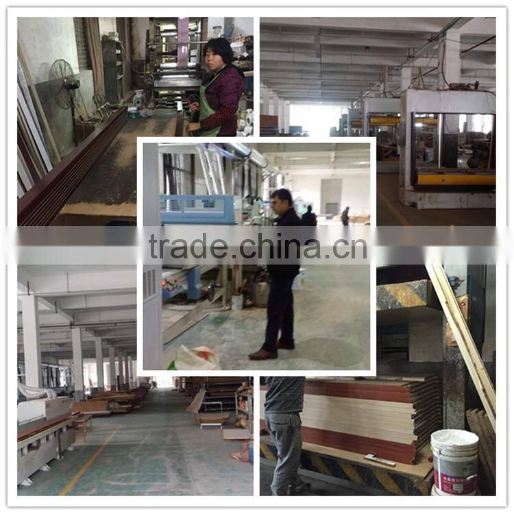 Toilet PVC Single Main Door Design