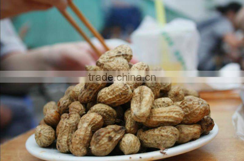 new crop farming product peanut with high quality