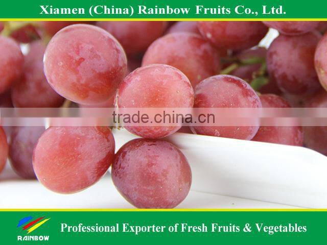 Fresh fruits of Yunnan Xinjiang Red sweet globe grape table grape