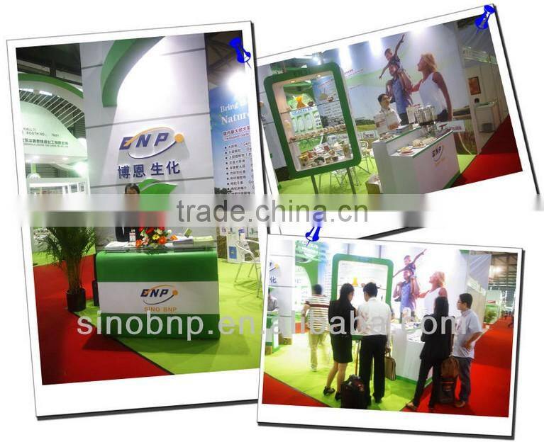 China BNP Supply New Xinjiang 100% Natural Sun Dried Goji Berries