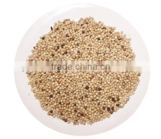 Factory price best selling white Pimenta