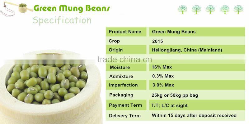 Export Green Mung Beans New Crop Junsheng From Myanmar