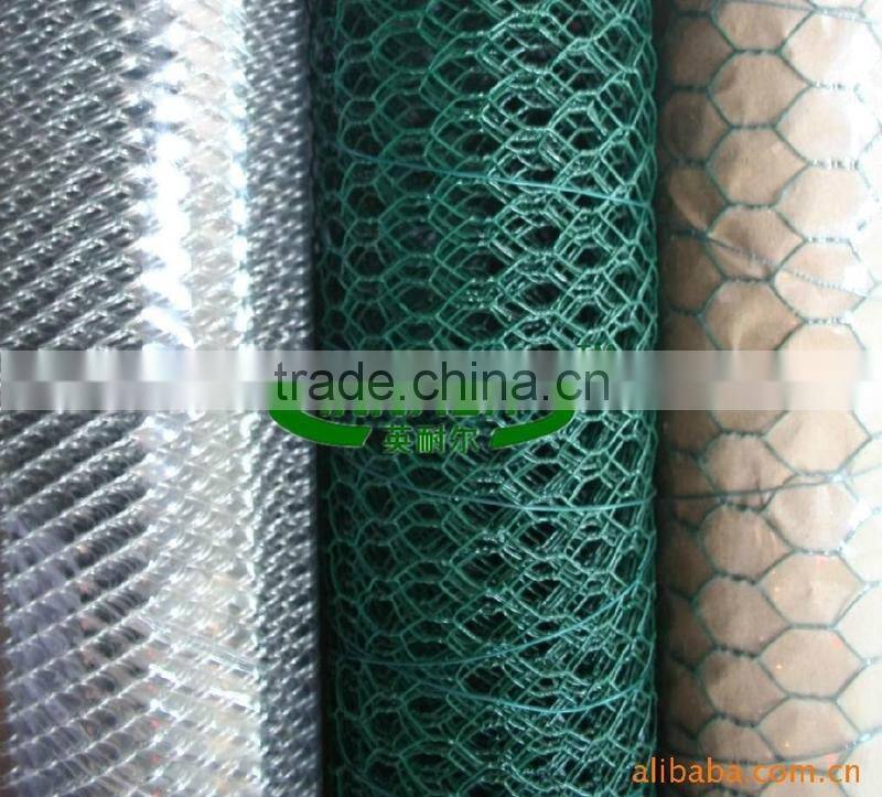Chicken Wire Mesh for Free Range Chickens