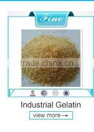 95% Protein Powder Hydrolyzed Collagen for Foods