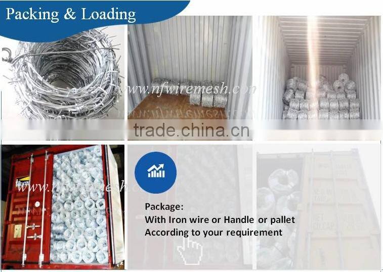 High Quality Used In Singapore Hot Dipped Galvanized Barbed Wire/PVC Coated Barbed Wire(Guangzhou Factory)