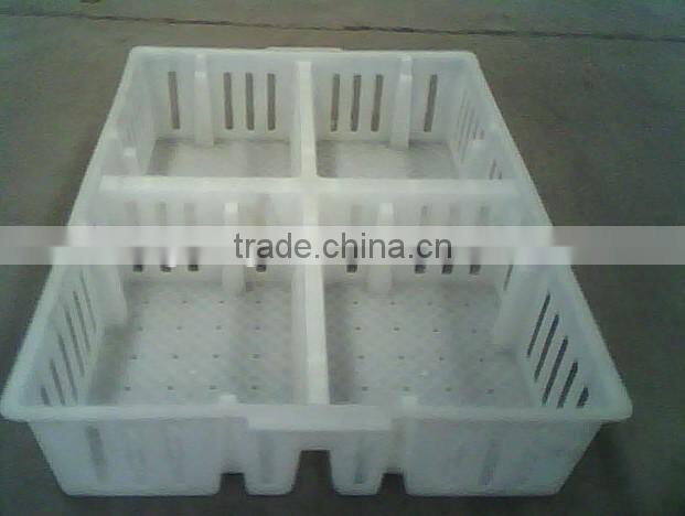 plastic chicken tranport stackable cage/box/crate for child chicken