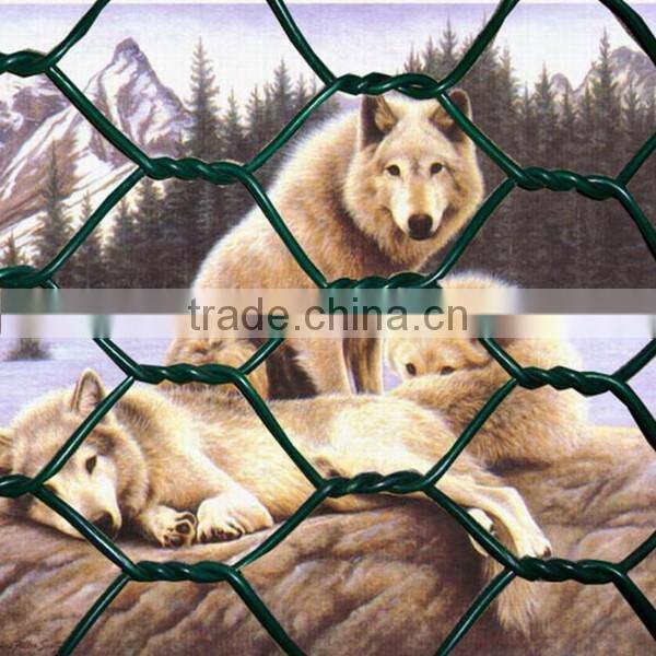 High quality anping hexagonal wire mesh/chicken wire mesh ( anping factory )
