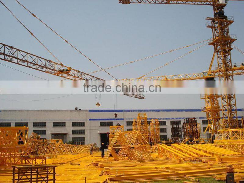 Canmax Small Hot Selling Tower Crane TC4010