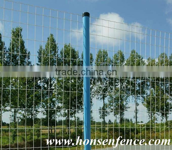 ISO High Quality Euro Fence/wave mesh/holland wire mesh(15 years factory)