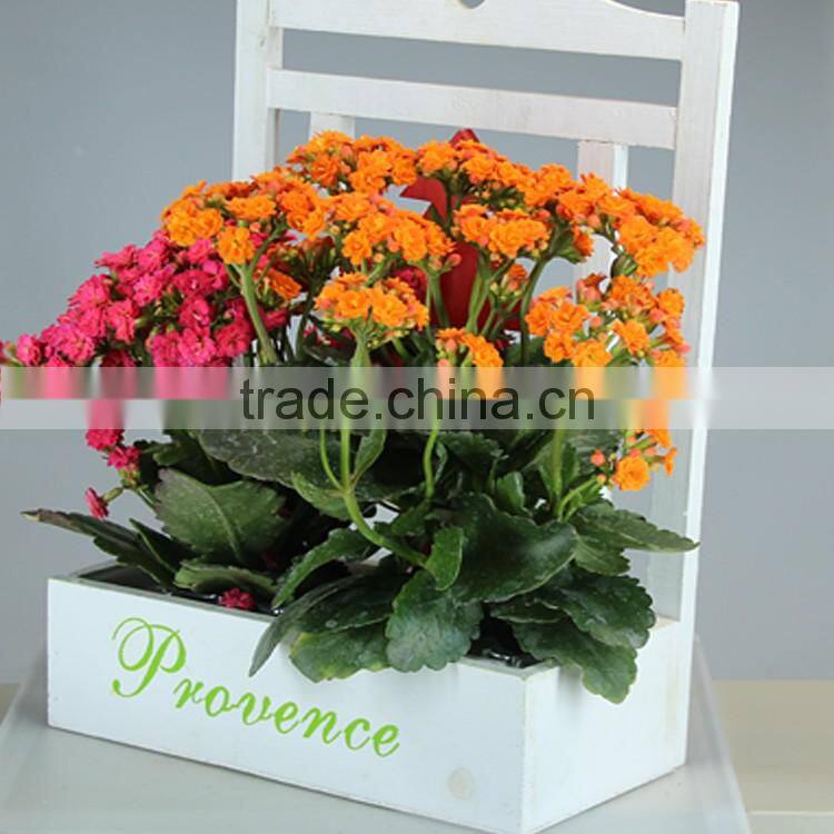 Wall hanging type square wooden flowerpot