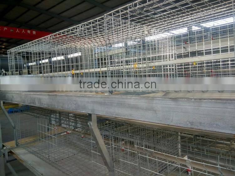Shandong Heracles trade assurance poultry farming equipment chicken layer cage for sale