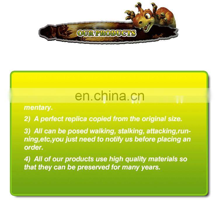 roaring vivid dinosaur skull fossil for museum exhibition