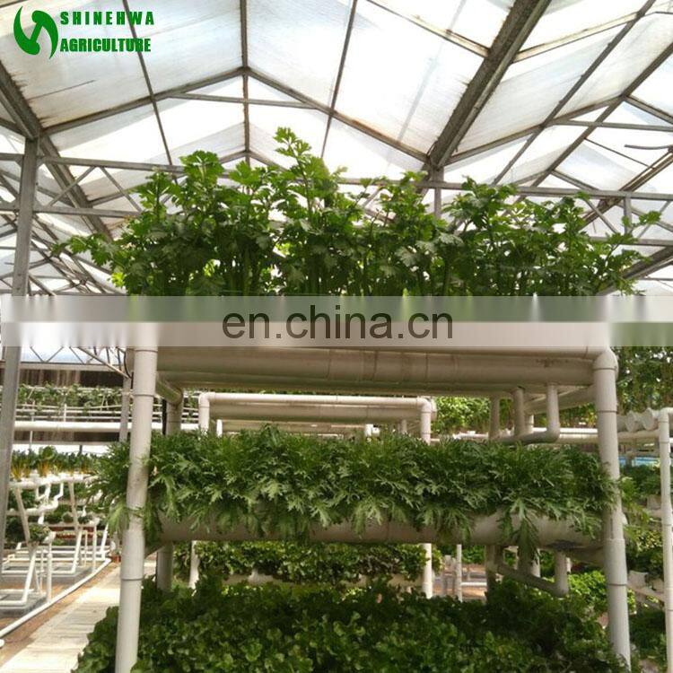 NFT Hydroponic Gutter Grow Systems