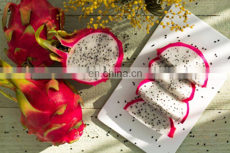Fresh Dragon Fruit From Viet Nam With High Quality