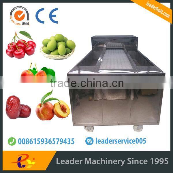 Leader cherry kernel removal machine with Skype:leaderservice005