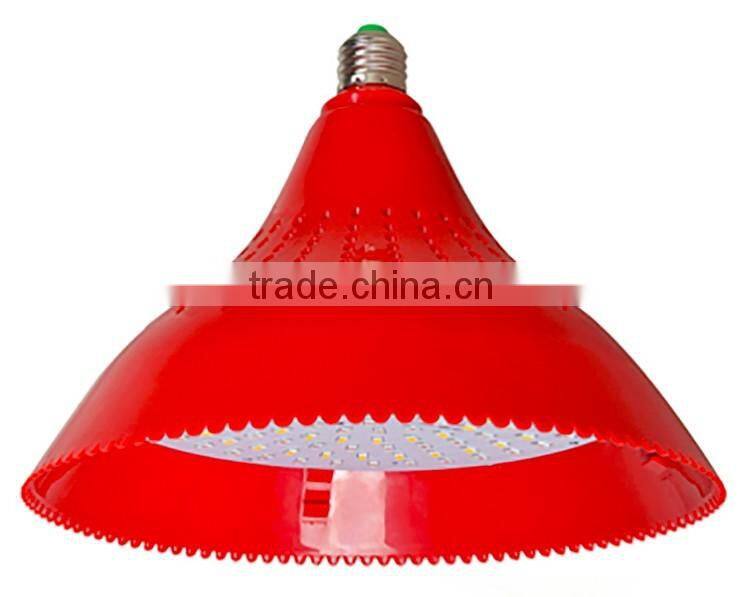 Hot Selling Energy Saving Eco-friendly Manufacturer in China 24W Modern LED Pendant Fresh Light