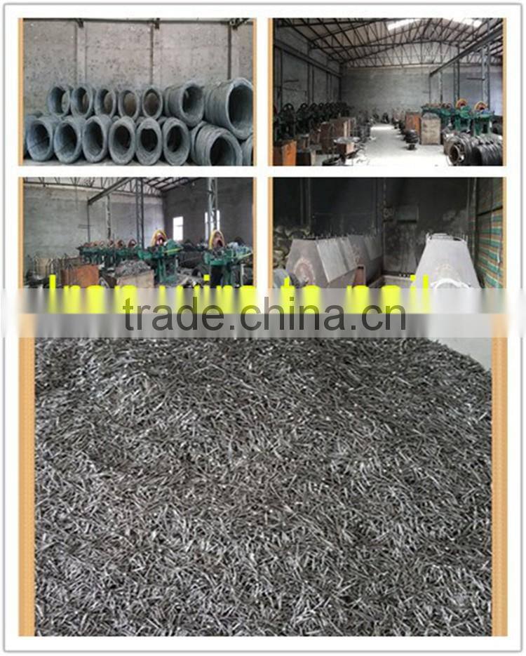 fcotry15 years high quality wood nail common nail Iron materials/common iron nail