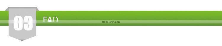 Little Giant agility ladder