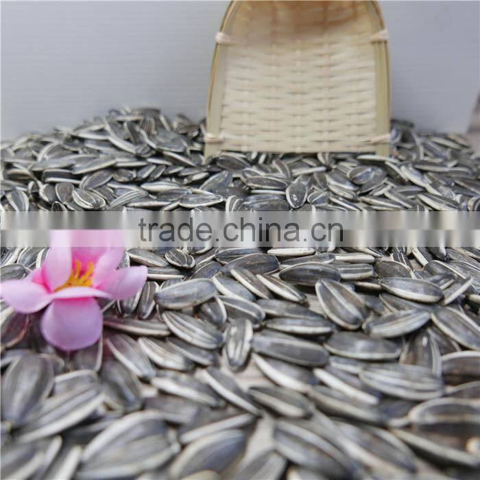 Hulled hybrid of Sunflower Seeds China Origin 5009 New corp