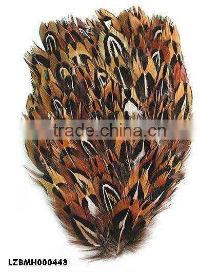 ringneck church window pad LZXZ00584