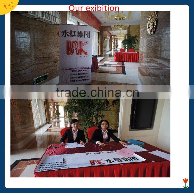 factory OEM/ODM amp custom auto wire harness&auto cable