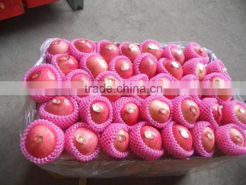 apple planter chinese apple fuji apple carton 20kg