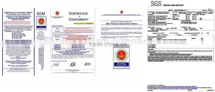 YB-420L Automatic tomato paste packaging machine