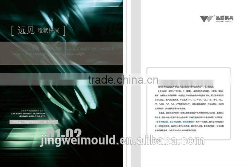 PVC PP PE wood plastic composite plate mould